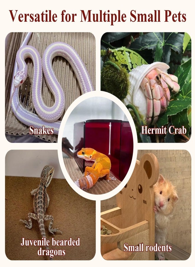 Niuohoy Visible Reptile Hide Box, PMMA Small Hideaway Snake Hide Enclosure, Easy to Clean Reptile Hides Cave for Leopard Geckos, Snakes, Lizards, Cornsnakes, Hamster - Small & Juvenilem (5.2 x 3.73 x 2.3 in) - Image 5